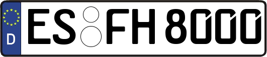 ES-FH8000