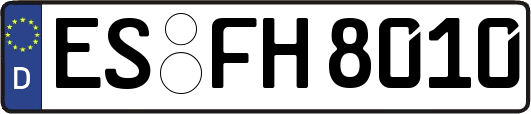 ES-FH8010