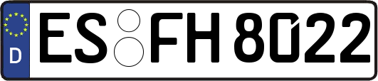 ES-FH8022