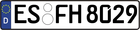 ES-FH8029