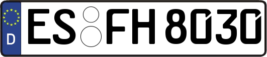 ES-FH8030
