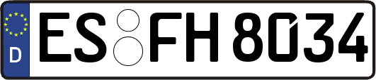 ES-FH8034