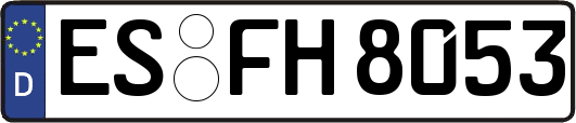 ES-FH8053