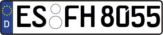 ES-FH8055