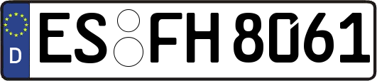 ES-FH8061