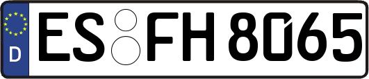ES-FH8065