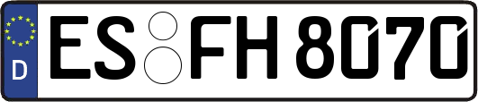 ES-FH8070