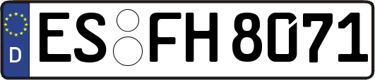 ES-FH8071