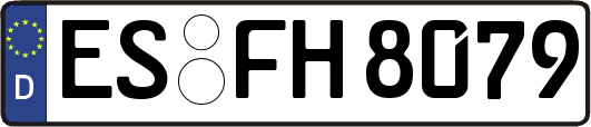 ES-FH8079