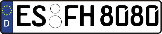 ES-FH8080