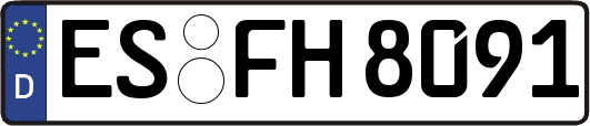 ES-FH8091