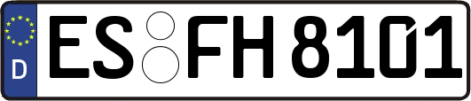 ES-FH8101