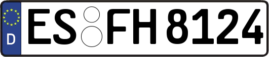 ES-FH8124