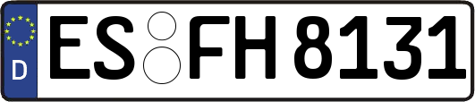ES-FH8131