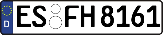 ES-FH8161