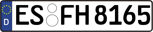 ES-FH8165