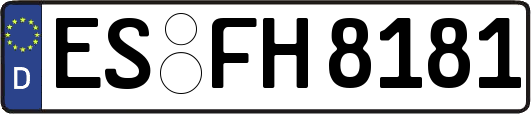 ES-FH8181