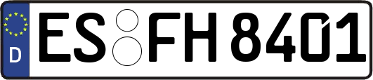 ES-FH8401