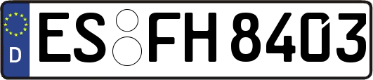 ES-FH8403