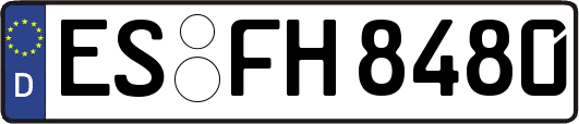 ES-FH8480