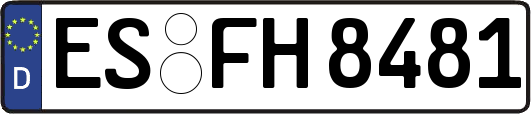 ES-FH8481