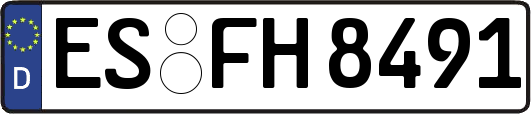 ES-FH8491