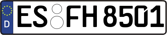 ES-FH8501