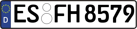 ES-FH8579