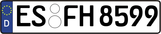 ES-FH8599