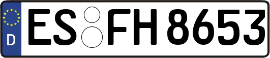 ES-FH8653