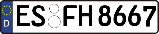 ES-FH8667