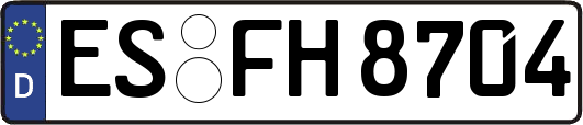 ES-FH8704
