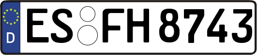ES-FH8743