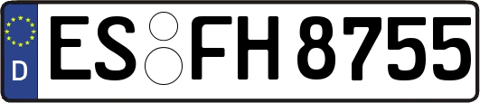 ES-FH8755