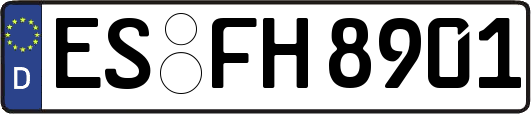 ES-FH8901