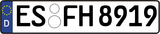 ES-FH8919