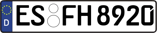 ES-FH8920