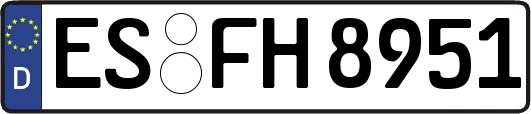 ES-FH8951