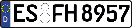 ES-FH8957
