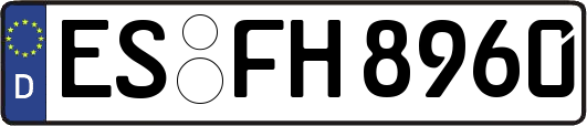 ES-FH8960