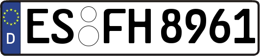 ES-FH8961