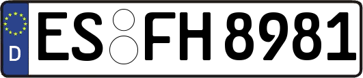 ES-FH8981