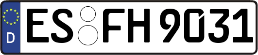 ES-FH9031
