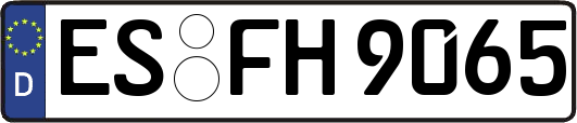 ES-FH9065