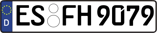 ES-FH9079