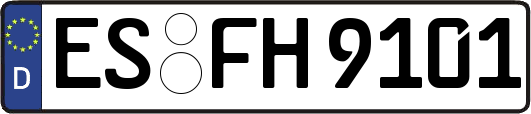 ES-FH9101