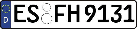 ES-FH9131