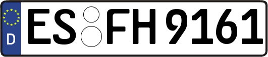 ES-FH9161