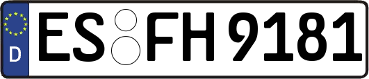ES-FH9181