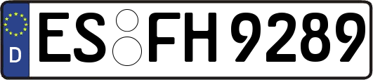 ES-FH9289